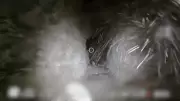 IDF Releases Footage of Hezbollah Living Quarters in Southern Lebanon