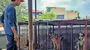 Illegal Animal Confinement and Breeding Found in Secunderabad Cemetery
