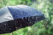IMD Issues Yellow Alert for Gurugram, Faridabad: Rain, Thunderstorm from May 12