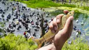 In Kashmir’s Village of 500 Springs, a Centuries-Old Ritual Keeps Water Sources Alive