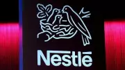 India Becomes Largest Market for KitKat Globally, Says Nestle