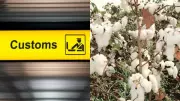 India exempts customs duty on cotton imports until October 30