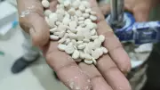India Seizes Jihadi Drug Captagon for First Time in Major Bust
