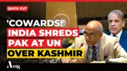 India Slams Pakistan at UN Over Kashmir Propaganda, Cites Afghan Civilian Deaths