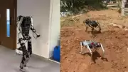 Indian Army Tests Indigenous Robotic Mule 'Param' for High-Altitude Logistics