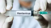 Indian Doctors Highlight Hantavirus Risk in South Korea: Multiple Cases Annually