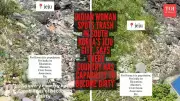 Indian Woman's Video Shows Trash in Jeju, South Korea, Sparks Cleanliness Debate