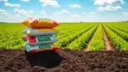 India's Fertiliser Subsidy Bill May Double to Rs 3.8 Lakh Crore This Fiscal