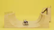 India's Purple Economy: Disability Inclusion and Accessibility Challenges
