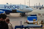 Indigo Flight Aborts Takeoff at Lucknow After Monkeys on Runway