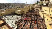 Inside Morocco's Chouara Tannery: A Living Legacy of Fez's Leather Trade