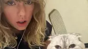 Inside Taylor Swift's Love for Cats: A Peek into Her Feline Family