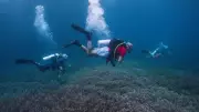 Italian Expert Joins Maldives Search After 5 Divers Killed in Scuba Accident