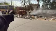 Jaipur Residents Struggle with Flooding and Garbage Despite JMC Claims