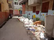 Jaipur Walled City Garbage Crisis After Cleanliness Drives Ends