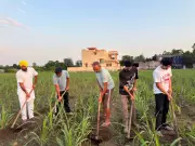 Jalandhar Family's Organic Farming Success Spans 20 Years and 3 Generations