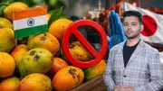 Japan Halts Indian Mango Imports Over Safety and Treatment Issues