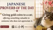 Japanese Proverb: Gold Coins to a Cat Teaches Value of Appreciation