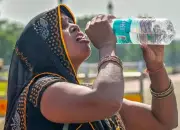 Jharkhand to Get Relief from Heatwave with Rain from May 28: IMD