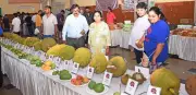 KAPPEC MD Urges Promotion of Jackfruit for Health and Income Benefits