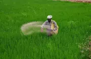 Karnataka Agriculture Dept Cracks Down on Fertiliser Overpricing, Warns Traders