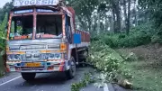 Karnataka: Eight Labourers Injured as Tree Branch Hits Lorry in Heavy Rain