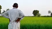 Karnataka Farmer Suicides Rise 23% Despite National Decline