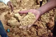 Karnataka Lokayukta Raids Illegal Sand Mining Network in Shivamogga
