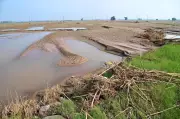 Karnataka Minor Irrigation Dept to File Criminal Cases for Illegal Silt Extraction from Lakes