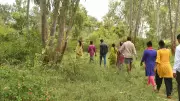 Karnataka seeks Rs 100 crore from Centre to relocate villages inside protected areas