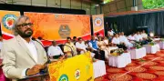 Karnataka to Boost Cashew Cultivation with Rs 1 Crore Grant for Quality Saplings