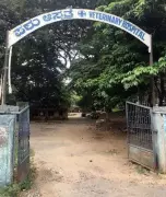 Karnataka veterinary dept faces severe staff shortage, 1,800 posts vacant