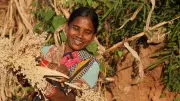 Karnataka's Beeja Parampara Initiative Empowers 490+ Farmers to Preserve Indigenous Seeds