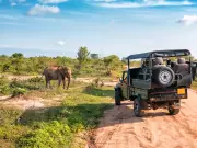 Kaziranga Jeep Safari Closed from May 25 Due to Monsoon
