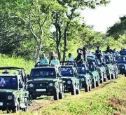Kaziranga National Park Records Best-Ever Tourism with 4.68 Lakh Visitors
