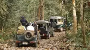 Kaziranga National Park Sees Four-Fold Tourist Footfall Rise in Decade