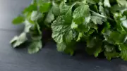 Keep Cilantro Fresh for Weeks: Simple Water Storage Method