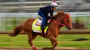 Kentucky Derby Field Reduced to 19 Horses After The Puma Scratch