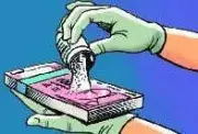 Kerala Forest Officers Caught Accepting Rs 1 Lakh Bribe by Vigilance