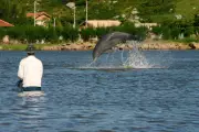 Kerala University Partners with Oregon State to Study Human-Dolphin Cooperation