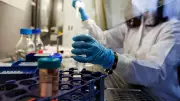 KFD Deaths Rise in Karnataka as Better Vaccine Remains in Trial Stage