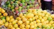 Khaja Theft at Puri Temple Sparks Outrage; Mango Exports Rise