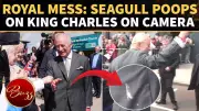 King Charles Laughs Off Seagull Droppings Incident During Northern Ireland Visit