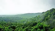 Kodagu Officials Directed to Prepare for Monsoon Season
