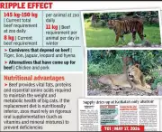 Kolkata Zoo Faces Beef Shortage, Turns to Chicken and Pork for Carnivores