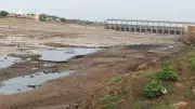 Krishna River Water Level Drops Sharply Due to Scorching Heat, No Rain