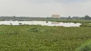 KUWSDB Proposes Rs 34 Crore Project to Divert 15 MLD Sewage from Dalavai Lake