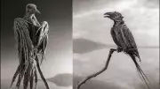 Lake Natron: The Truth Behind Tanzania's 'Stone-Turning' Lake