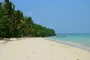 Land Subsidence Amplifies Sea Level Rise in Coastal Regions: Study