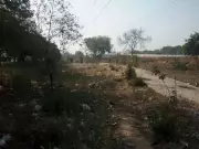 Leisure Valley in Ludhiana Deteriorates, Residents Demand Restoration